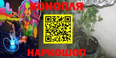 индика Краснокаменск