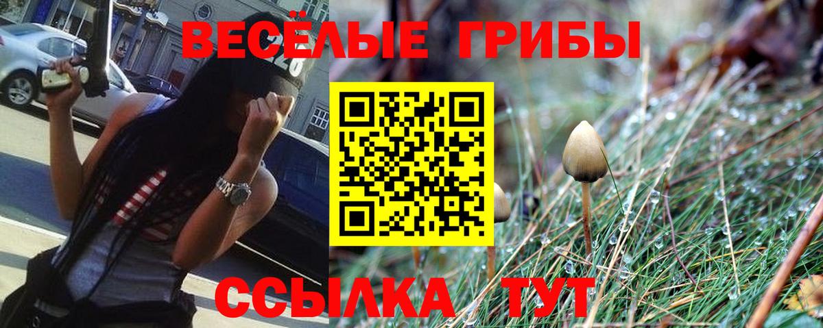 Галлюциногенные грибы MAGIC MUSHROOMS  Вход с VPN  Галлюциногенные грибы MAGIC MUSHROOMS  Зерноград 