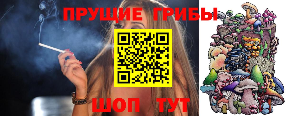 Галлюциногенные грибы Psilocybine cubensis Зерноград